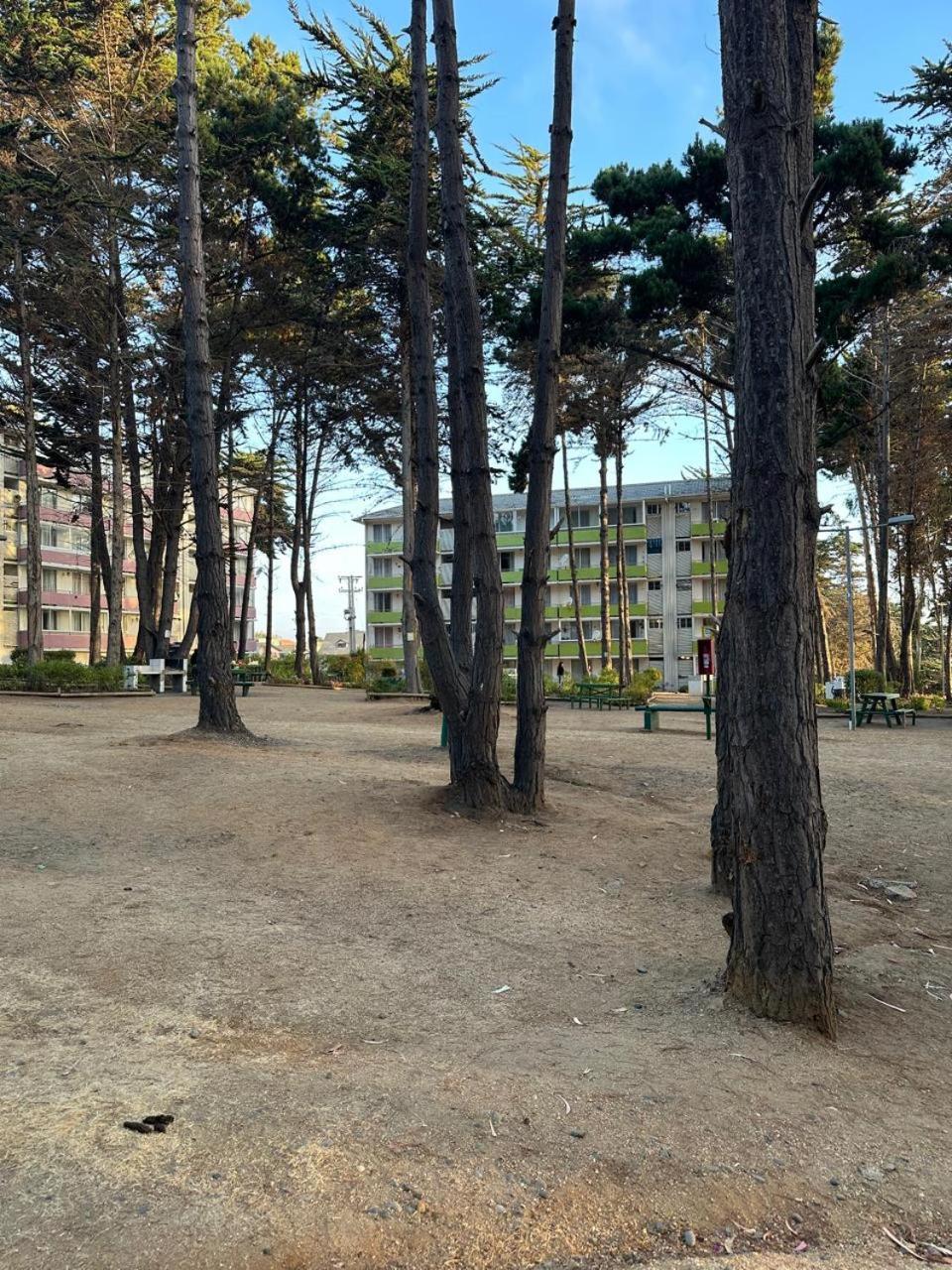 Departamento Bosques Del Tabo